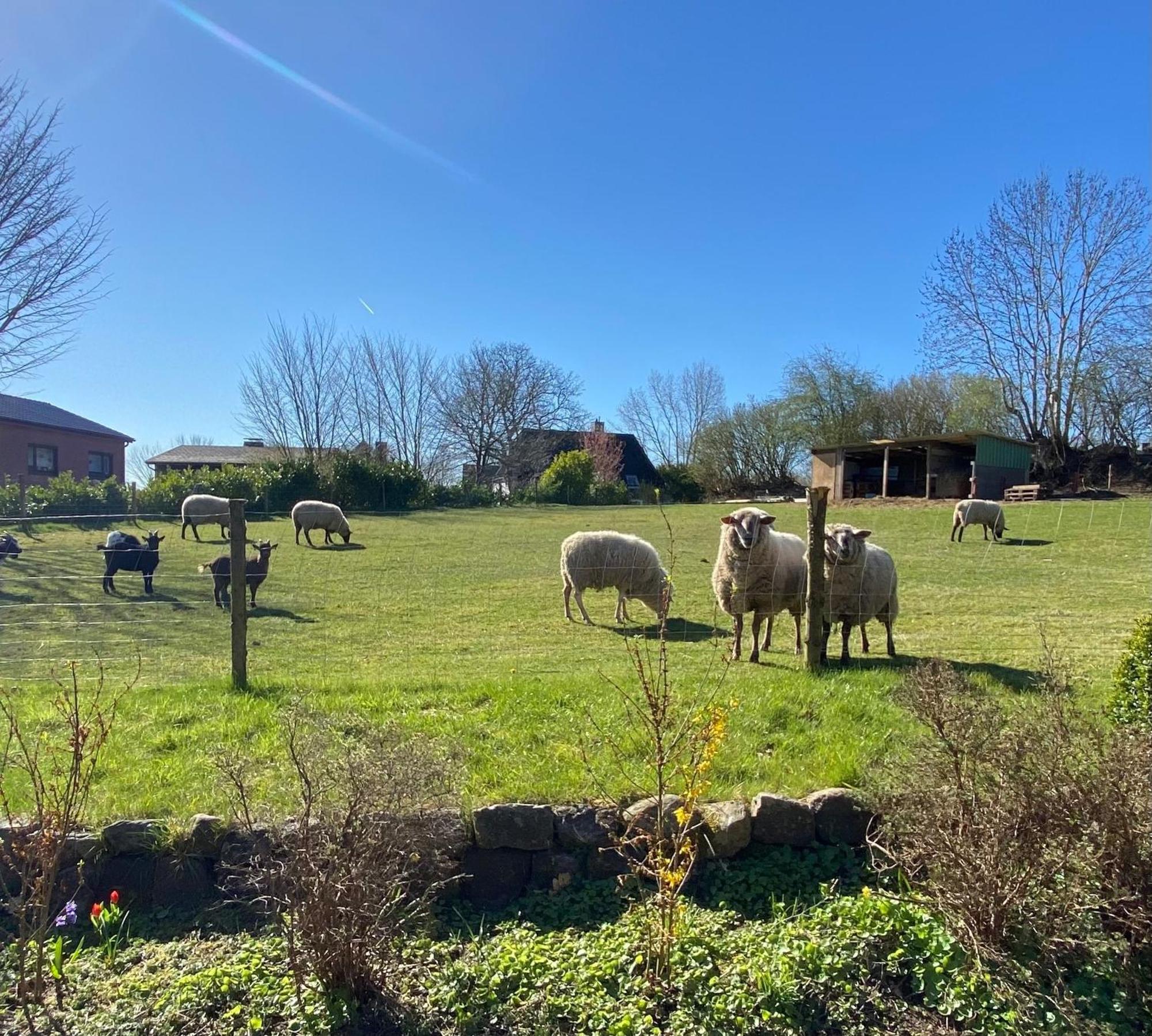 Ferienwohnung Schroeder Bunsdorf Esterno foto